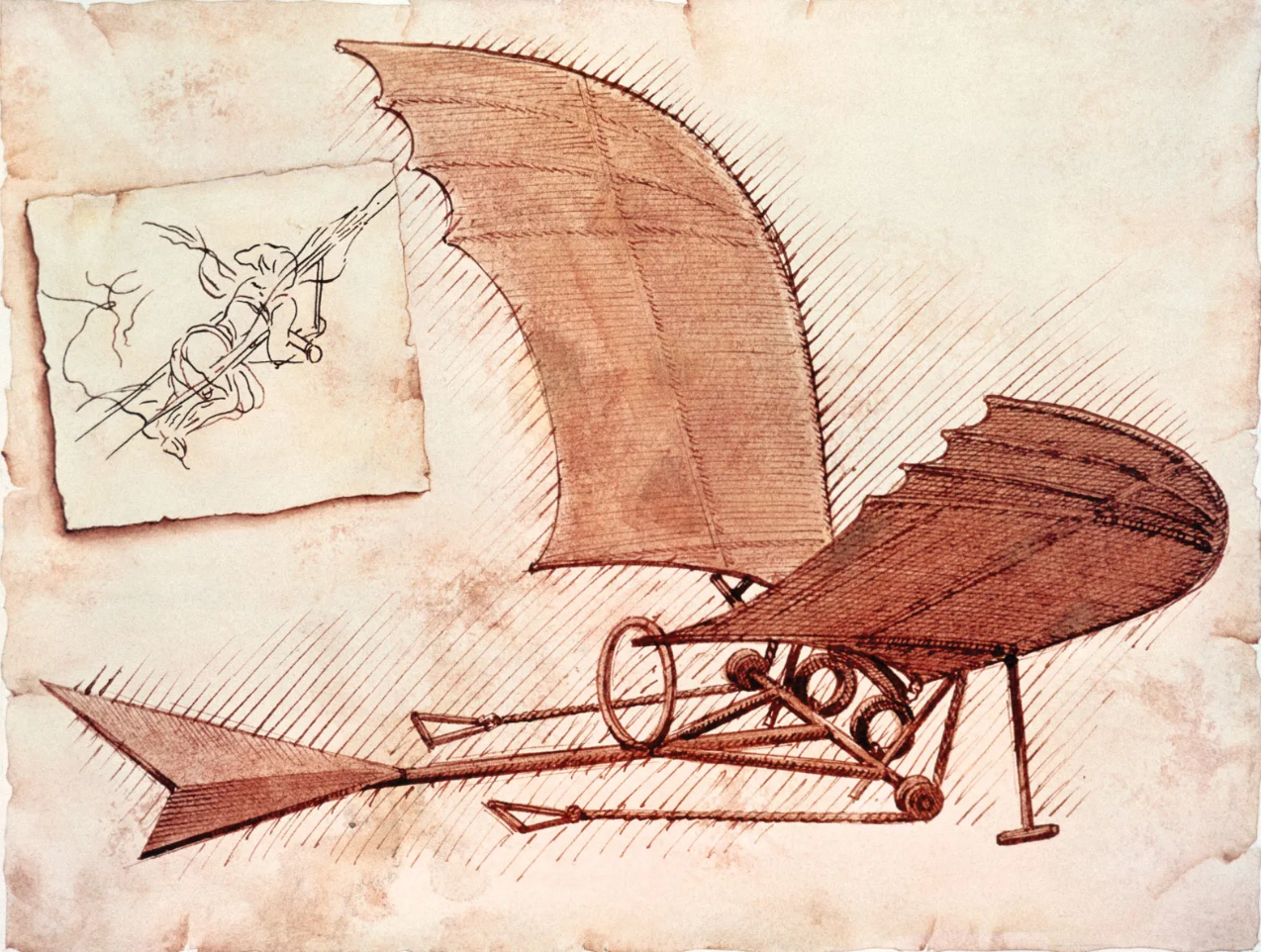 Leonardo Da Vinci's Work